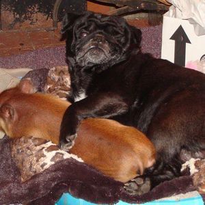 Meet your Posher, Luann